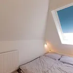 Ostseenest